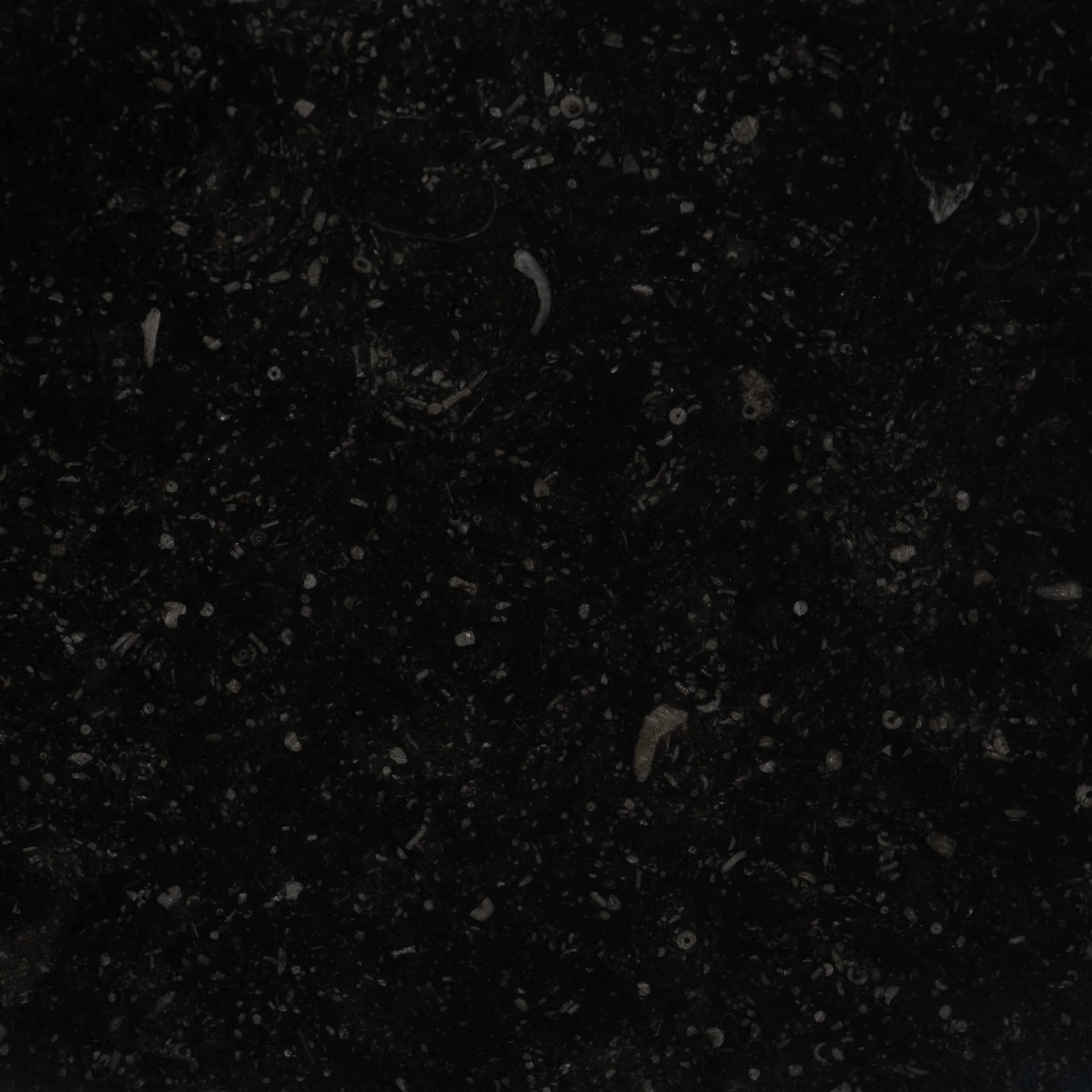 Donker gezoet Belgisch hardsteen